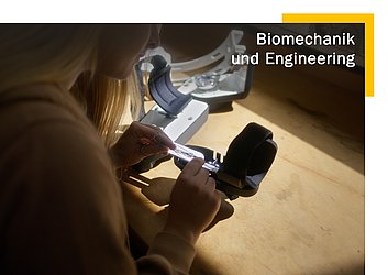 Biomechanik und Engineering - Bachelor of Engineering Biomechanik und Engineering - Bachelor of Engineering
