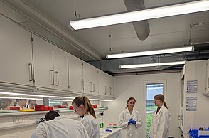 Schülerinnen und Schüler zu Besuch an der Hochschule Pforzheim
