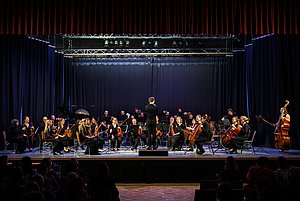 Orcherste während des Konzerts 2024 in der Goetheschule.