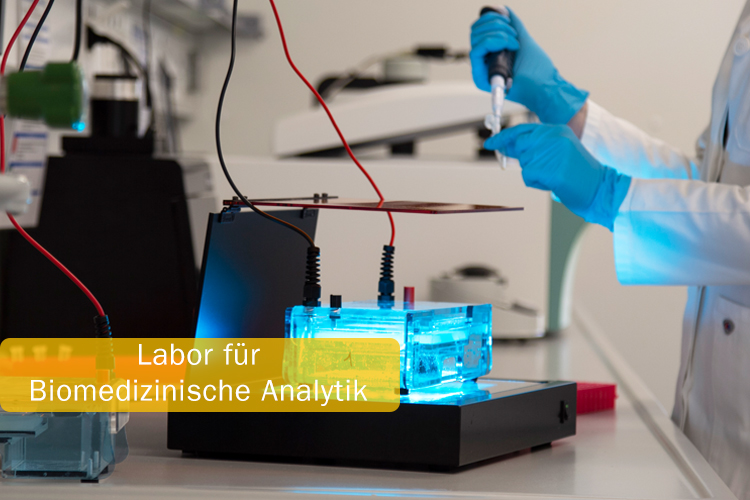 Labor für biomedizinische Analytik